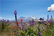 13-MtStHelens
