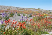 17-MtStHelens