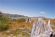 29-MtStHelens