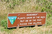 26-PacCoastHwy101