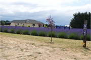 16-Sequim-PortAngeles_WA
