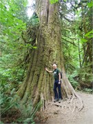 12-OlympicNatlParkWA