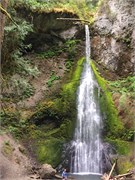 14-OlympicNatlParkWA