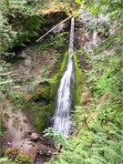 15-OlympicNatlParkWA