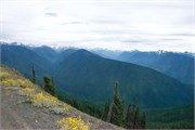 25-OlympicNatlParkWA
