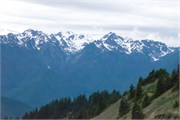 27-OlympicNatlParkWA