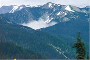 30-OlympicNatlParkWA
