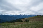 32-OlympicNatlParkWA