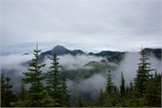 39-OlympicNatlParkWA