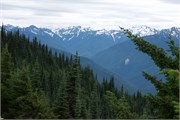 40-OlympicNatlParkWA