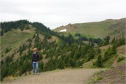 42-OlympicNatlParkWA
