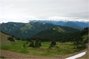 45-OlympicNatlParkWA