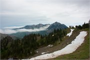 49-OlympicNatlParkWA