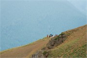 51-OlympicNatlParkWA