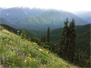 53-OlympicNatlParkWA