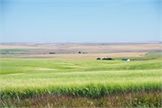 67-OlympicWA-2-SandpointID