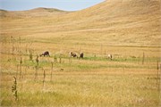57-BadlandsSD