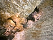 16-Wind_Cave_Natl_Park