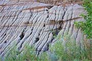 08-RooseveltNatlPark