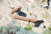 59-RooseveltNatlPark