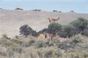 16-Patagonia2018
