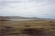 66_Bluff-Cove08