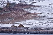 37_AdmiraltyBay