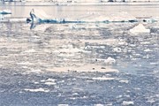23_WilhelminaBay
