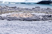 24_NeumayerChannel
