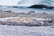25_NeumayerChannel