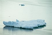 12_ParadiseHarbor