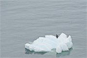 31_ParadiseHarbor