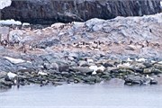 56_ParadiseHarbor