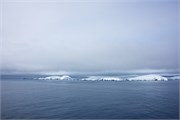 20_DallmanBay