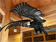 16_PuertoChacabuco-Coyhaique