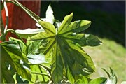 46_PuertoChacabuco-Coyhaique