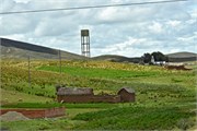 15_PumaPunka
