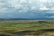 19_PumaPunka