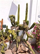 097_MuseoLarco