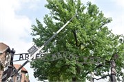 10-Auschwitz