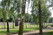 25-Auschwitz