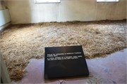 36-Auschwitz