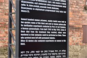 41-Auschwitz