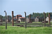 16-Birkenau