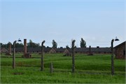 27-Birkenau