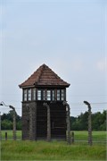 30-Birkenau