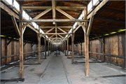 31-Birkenau