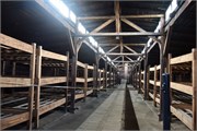 32-Birkenau