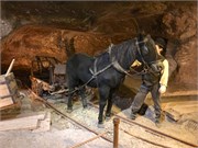15-Wieliczka_Salt