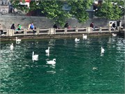20-Zurich_06172018